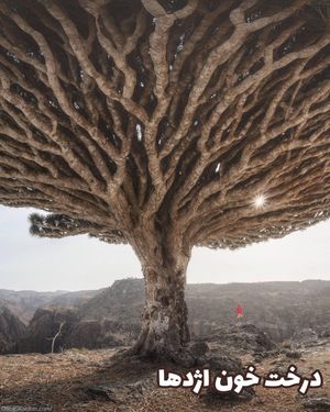 Image post by @travelgardi on Instagram
