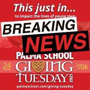 Image post by @palma_school on Instagram