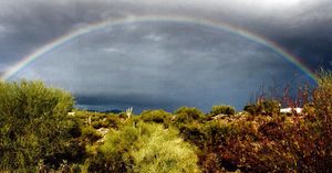 Image post by @rebeccamsphoto on Instagram