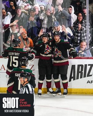 Image post by @arizonacoyotes on Instagram