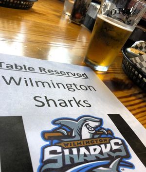 Image post by @ilmsharks on Instagram