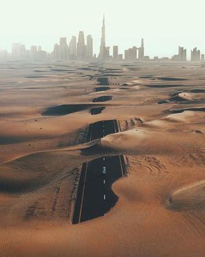 Image post by @moment on Instagram