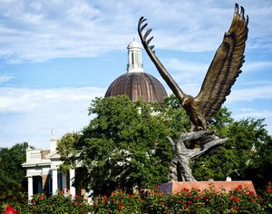 Image post by @officialsouthernmiss on Instagram