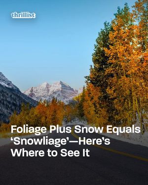 Image post by @thrillist on Instagram