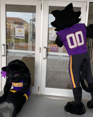 Image post by @northern_iowa on Instagram