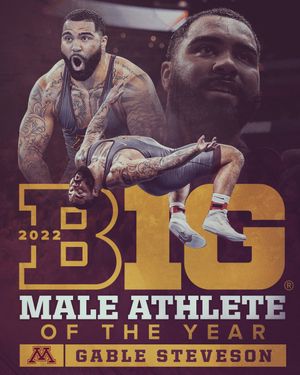 Image post by @gopherwrestling on Twitter