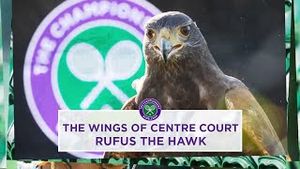 Video post by @wimbledon on YouTube