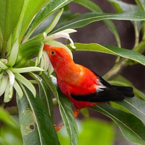 Image post by @discovery on Instagram