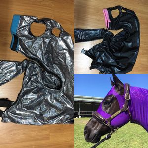 Image post by @flynhighhorsewear on Instagram