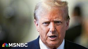 Video post by @msnbc on YouTube