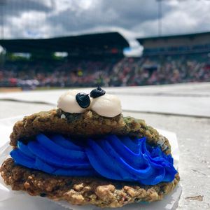 Image post by @rocredwings on Instagram