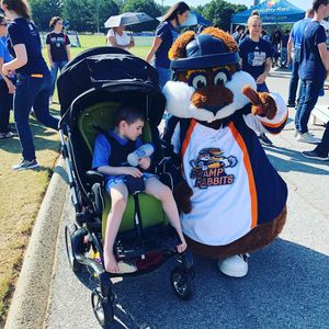 Image post by @swamprabbits on Instagram