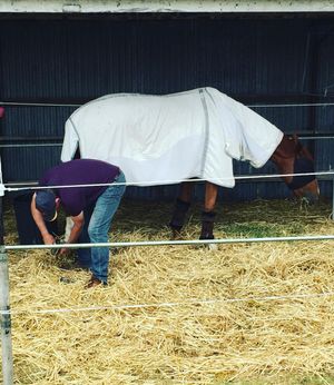 Image post by @snaffle_it on Instagram