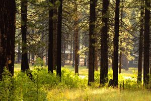 Image post by @djs_photo_lens on Instagram