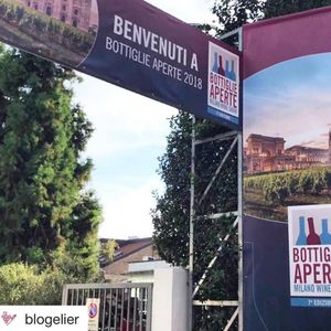 Image post by @alessandra_chiappa on Instagram