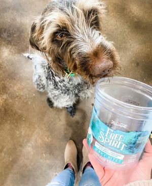 Image post by @triumphpetfood on Instagram