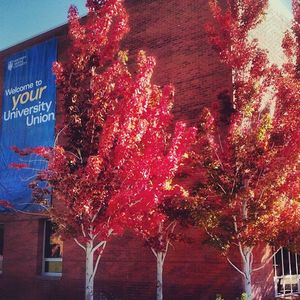 Image post by @nauflagstaff on Instagram