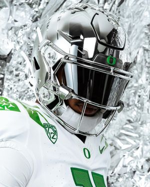 Image post by @goducks on Instagram
