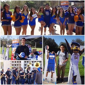 Image post by @bigwestsports on Instagram