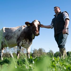 Image post by @arladairyuk on Instagram