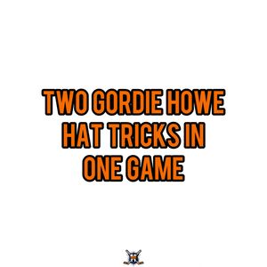 Image post by @hockeyfights on Instagram