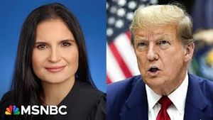 Video post by @msnbc on YouTube