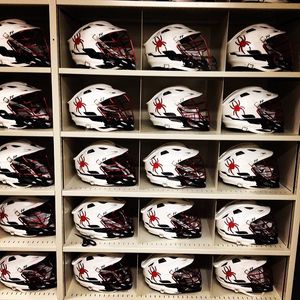 Image post by @spidermlax on Instagram