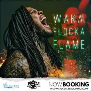 Image post by @splashlifebooking on Instagram