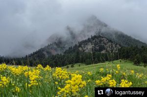 Image post by @cuboulder on Instagram