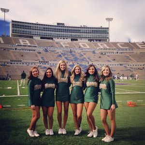 Image post by @csugoldenpoms on Instagram