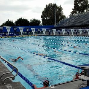 Image post by @wvuswimdive on Instagram