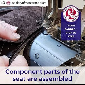 Image post by @performancesaddlefitssthsydney on Instagram