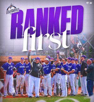 Image post by @bubruins_bsbl on Instagram