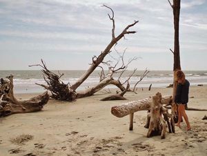 Image post by @collegeofcharleston on Instagram