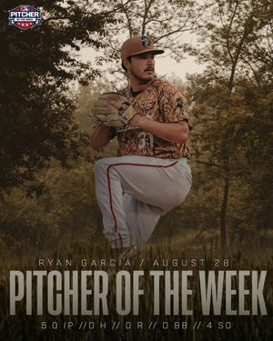 Image post by @GoWoodDucks on Twitter