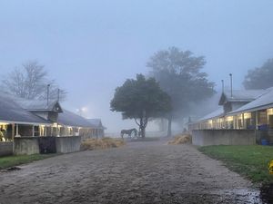 Image post by @breederscup on Instagram