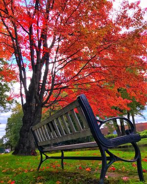 Image post by @fairfieldu on Instagram