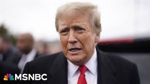 Video post by @msnbc on YouTube