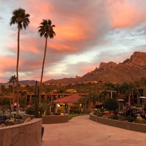 Image post by @hiltonhotels on Instagram