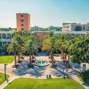 Image post by @umiamicas on Instagram