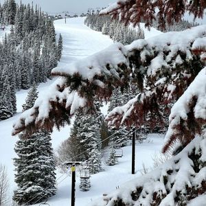 Image post by @winterparkresort on Instagram