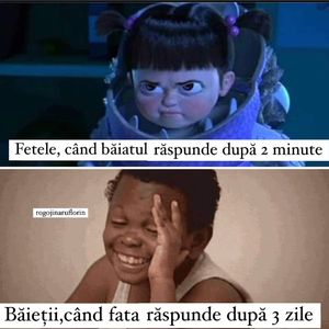 Image post by @rogojinaruflorin on Instagram