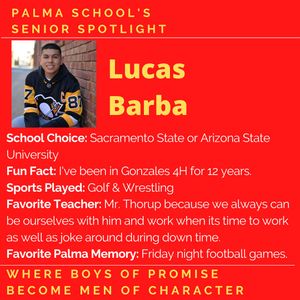 Image post by @palma_school on Instagram