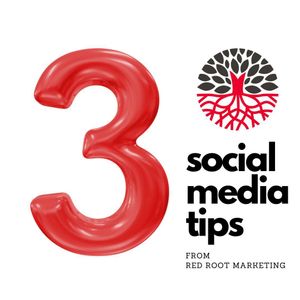 Image post by @redrootmarketing on Instagram