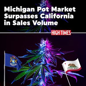 Image post by @hightimesmagazine on Instagram