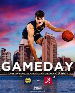 Image post by @NDmbb on Twitter