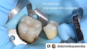 Image post by @ripeglobal on Instagram