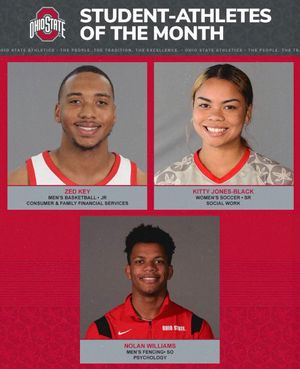 Image post by @sasso_osu on Twitter