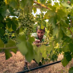 Image post by @danielricciardo on Instagram