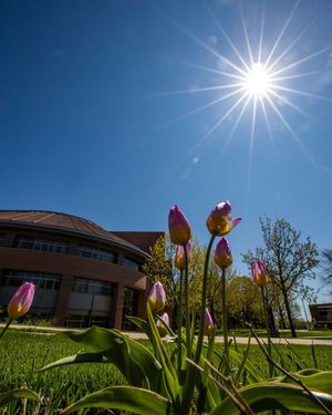 Image post by @northern_iowa on Instagram